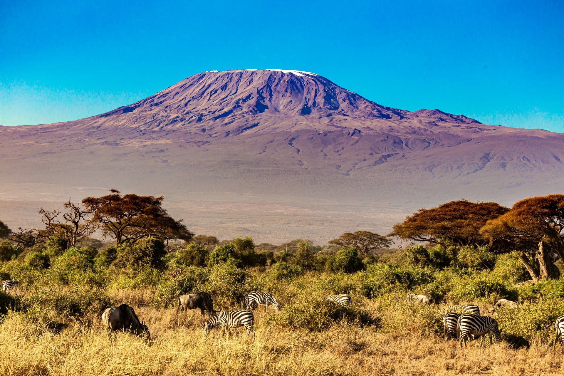 5-Days Amboseli Tsavo