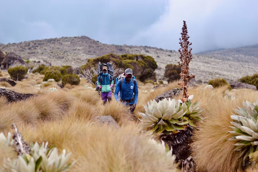 4-Days Mt Kenya Sirimon