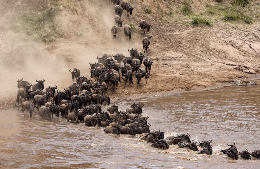 7-Days Mara Nakuru Amboseli