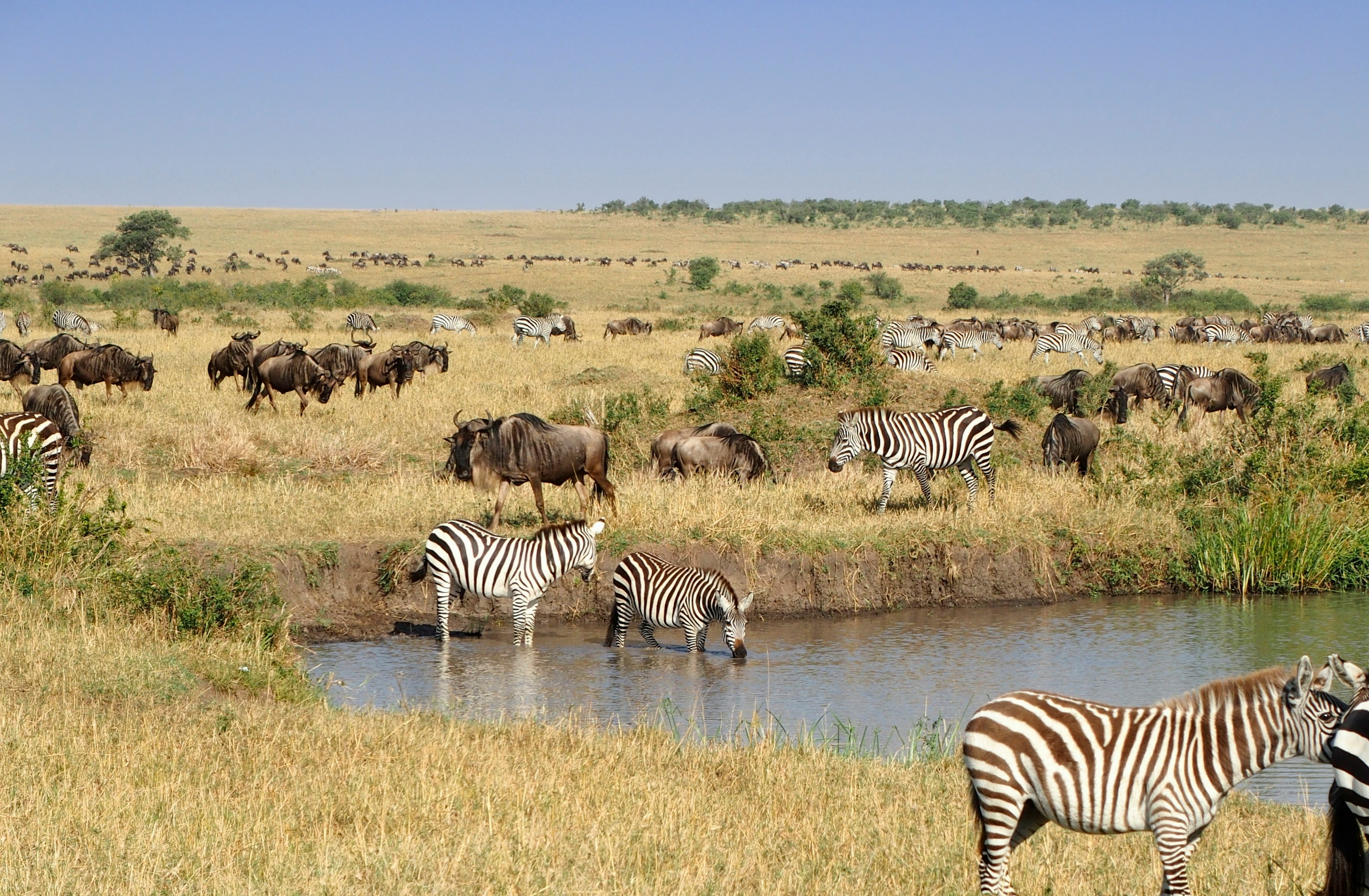 3-Days Masai Mara