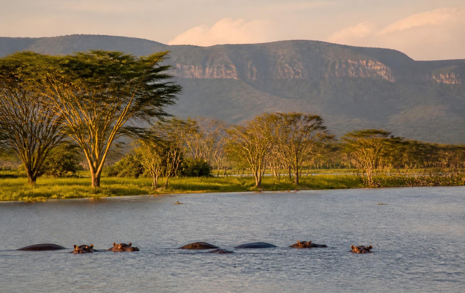 Lake Naivasha shoreline on a Kenya day trip