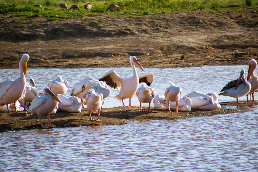4-Days Mara Lake Nakuru