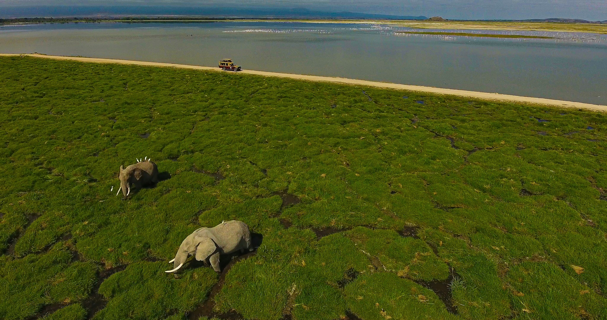 5-Days Amboseli Tsavo