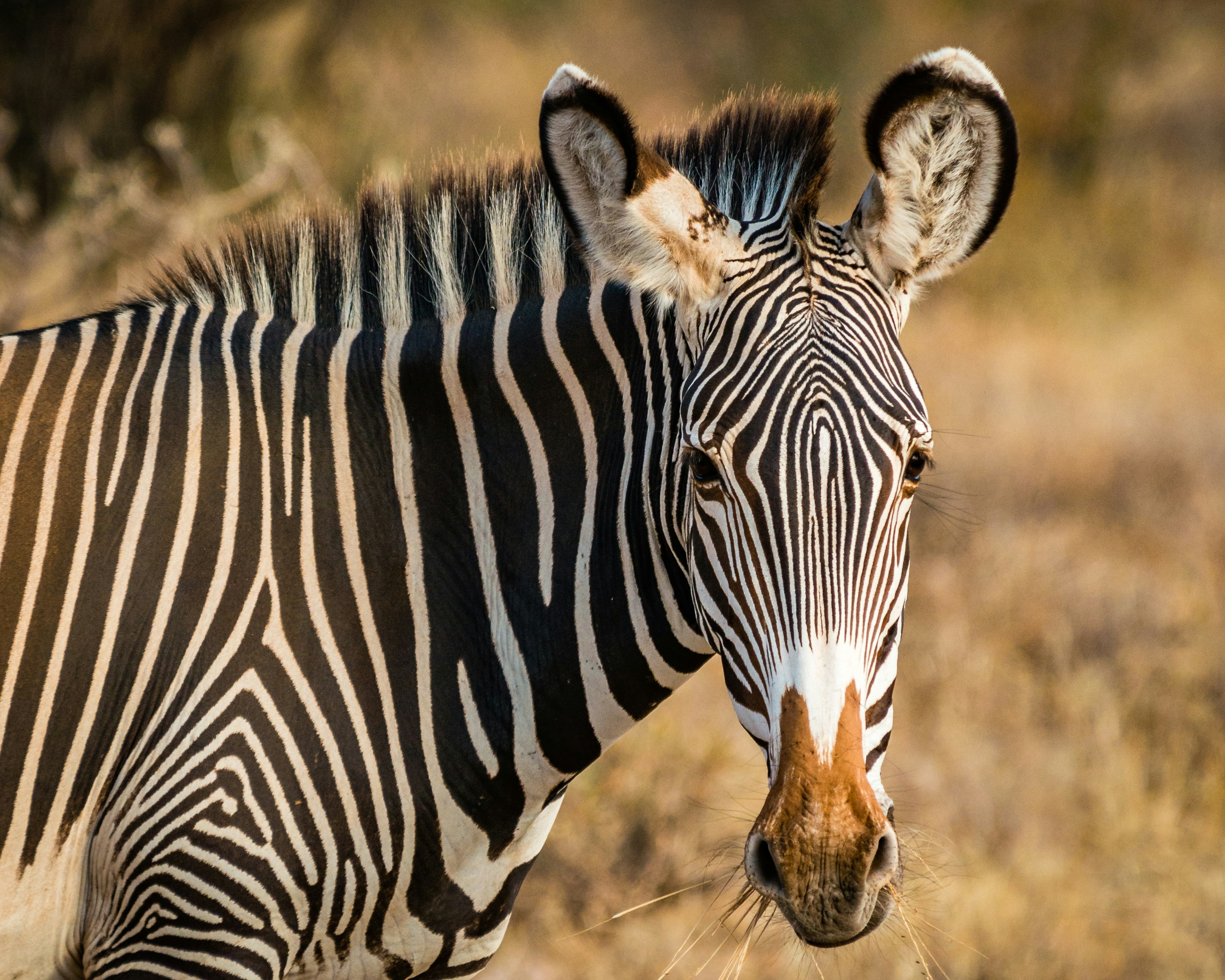 3 Days Samburu Safari
