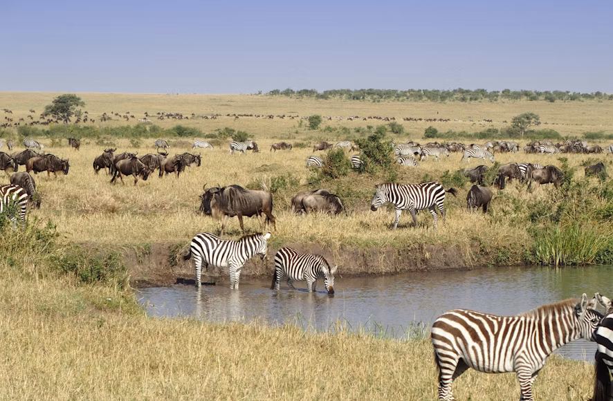 3-Days Masai Mara