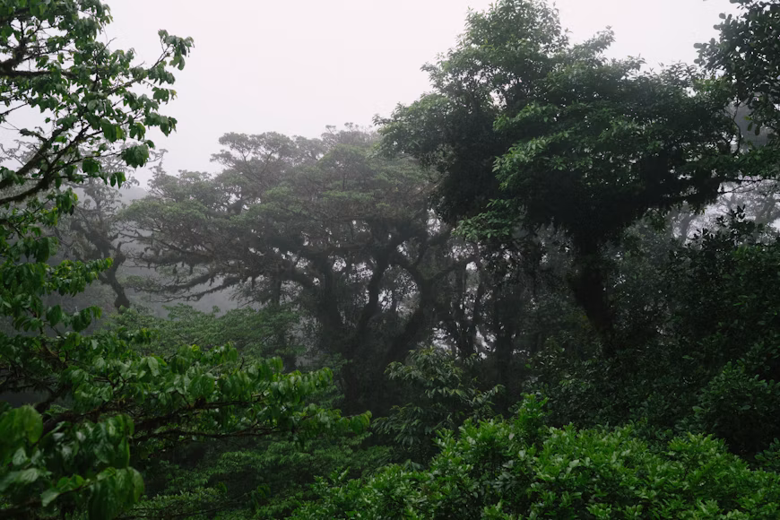 3-Days Meru National Park